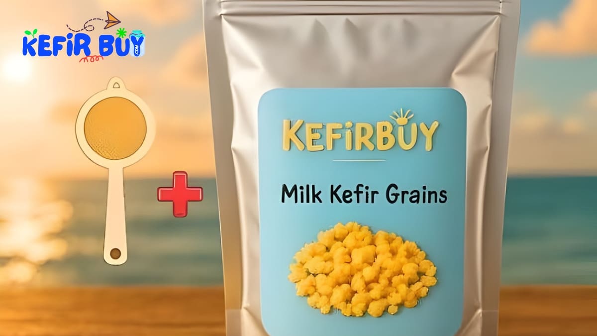 Kefir Grains