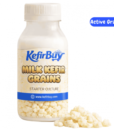 Active milk kefir grains