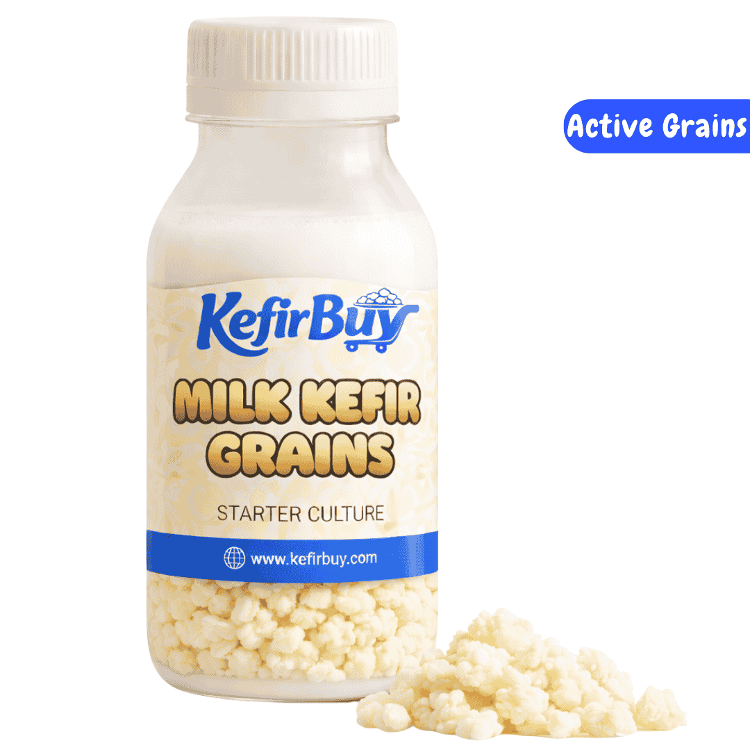Active milk kefir grains
