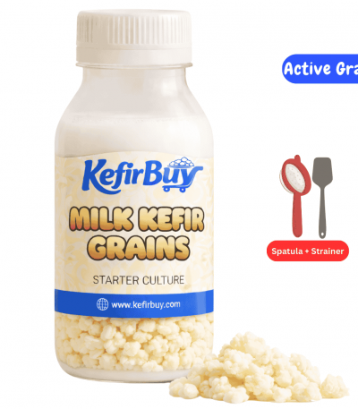 Active Milk Kefir Grains with Kit