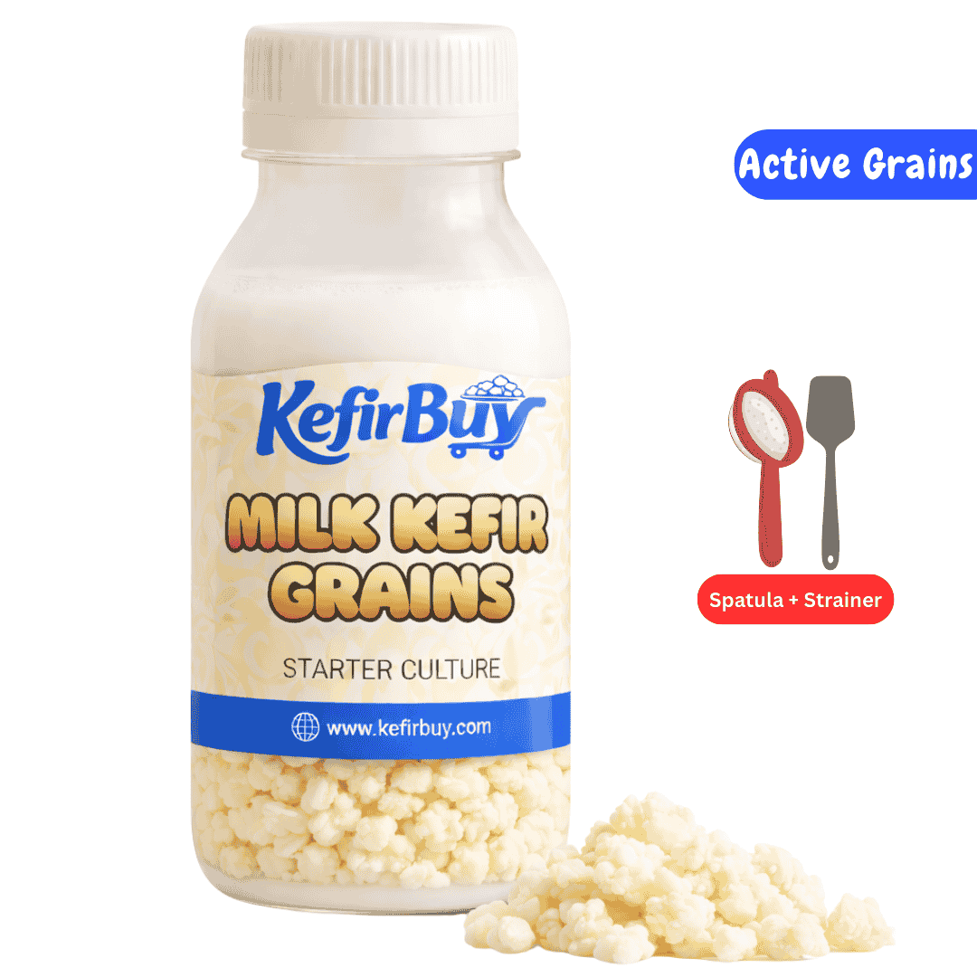 Active Milk Kefir Grains with Kit