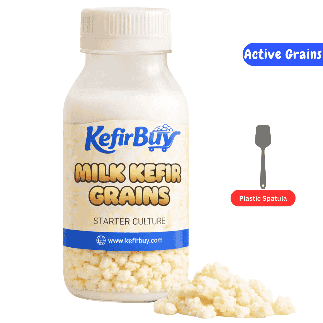 Active Milk Kefir Grains