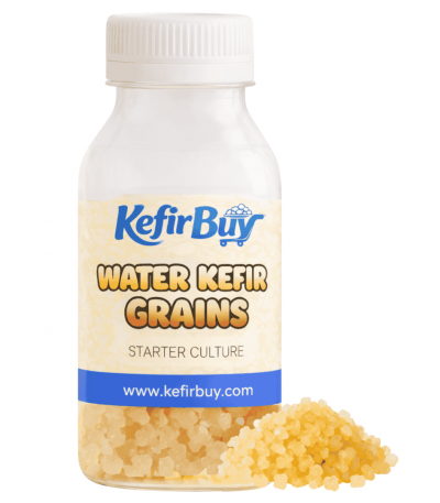 Water Kefir Grains