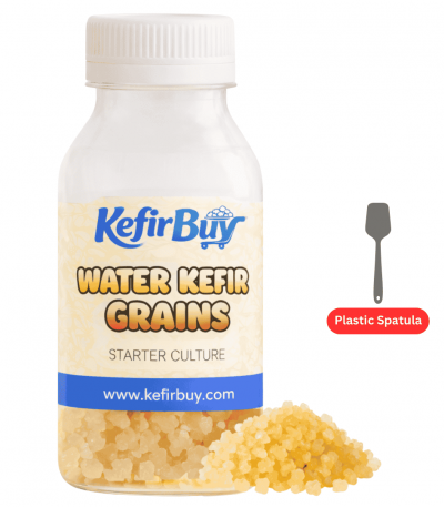 Water Kefir Grains