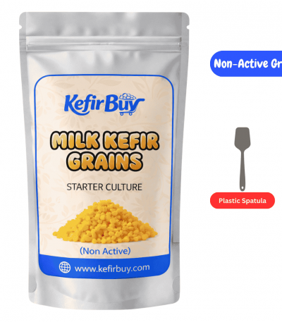 Non Active (dehydrated) Milk Kefir Grains with Spatula