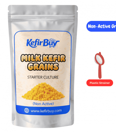 Non Active (dehydrated) Milk Kefir Grains with Strainer