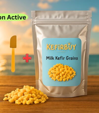 Non Active Milk Kefir Grains