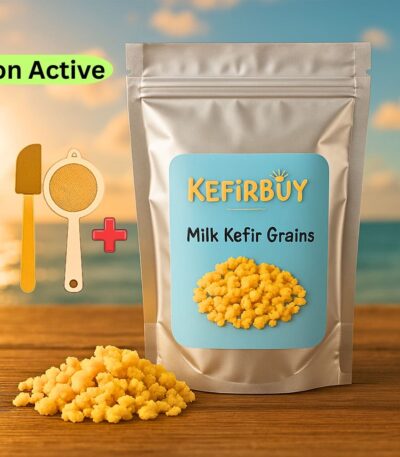 Non Active Milk Kefir Grains