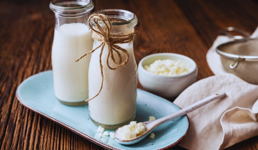 Kefir Grains