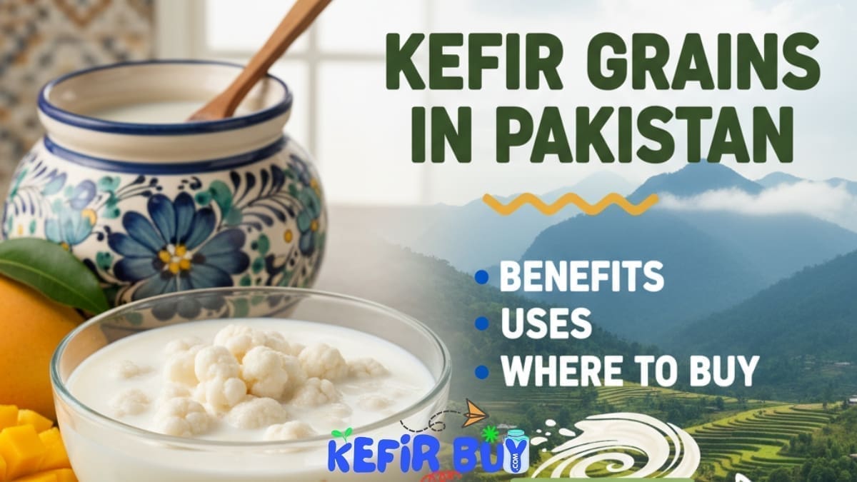 Kefir Grains in Pakistan