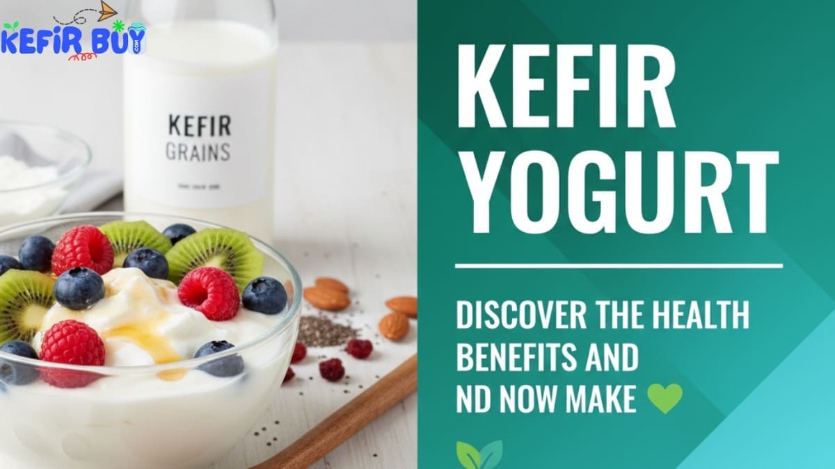 Kefir Yogurt