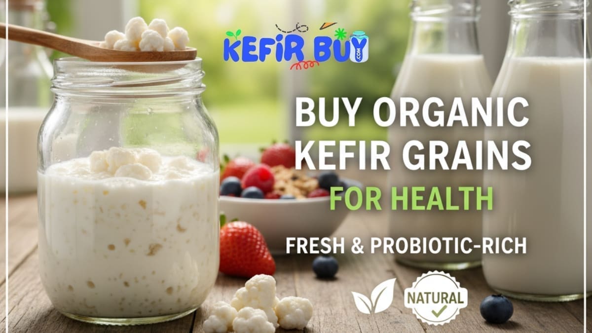 Buy Organic Kefir Grains