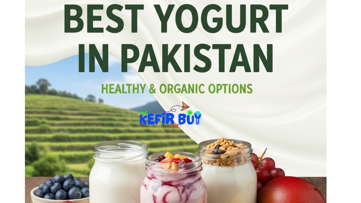Best Yogurt in Pakistan