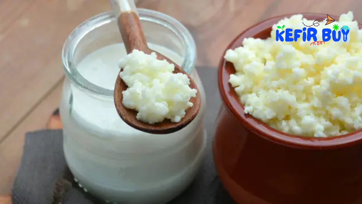 Milk Kefir at Home