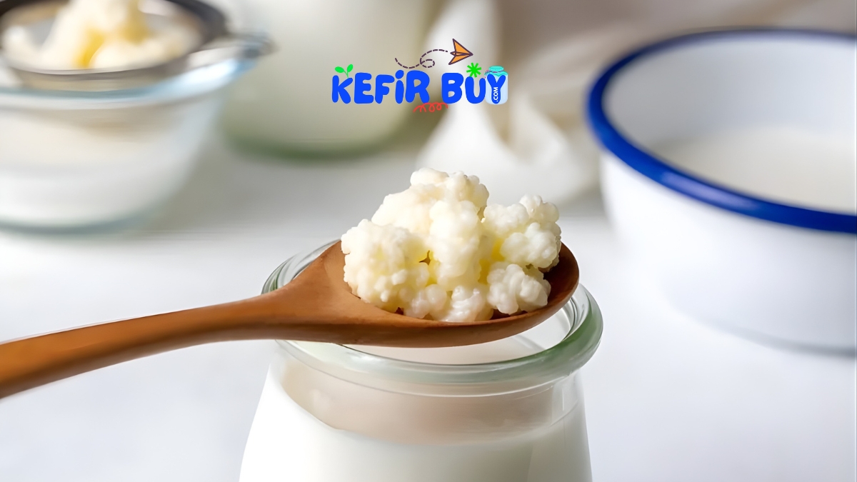 Kefir Grains in Pakistan