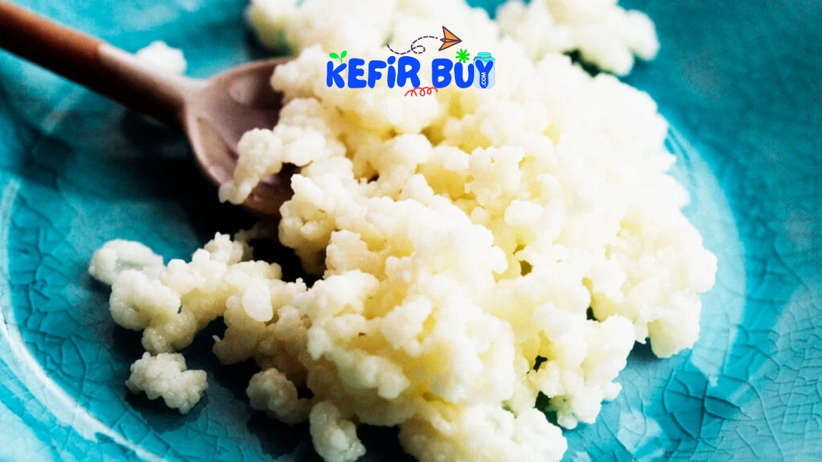 Kefir Benefits