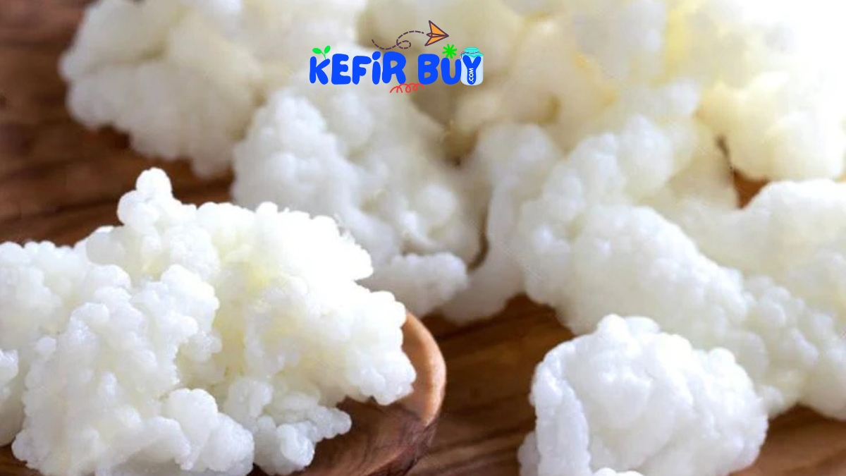 Kefir in Pakistan