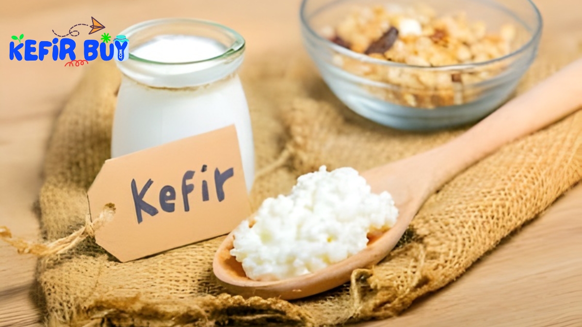 Kefir Yogurt