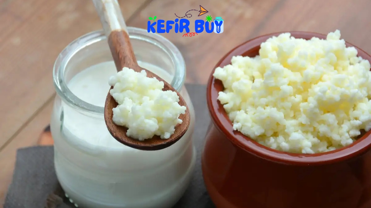 Kefir in Pakistan