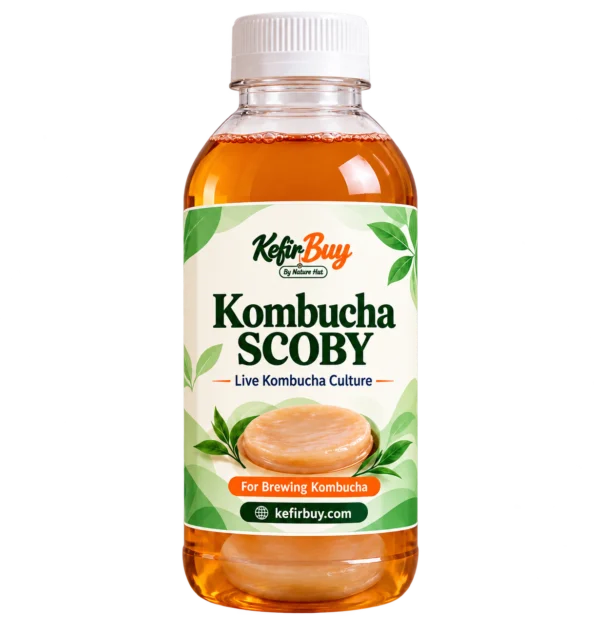 KefirBuy kombucha SCOBY, a live culture in starter tea, in a 500ml bottle