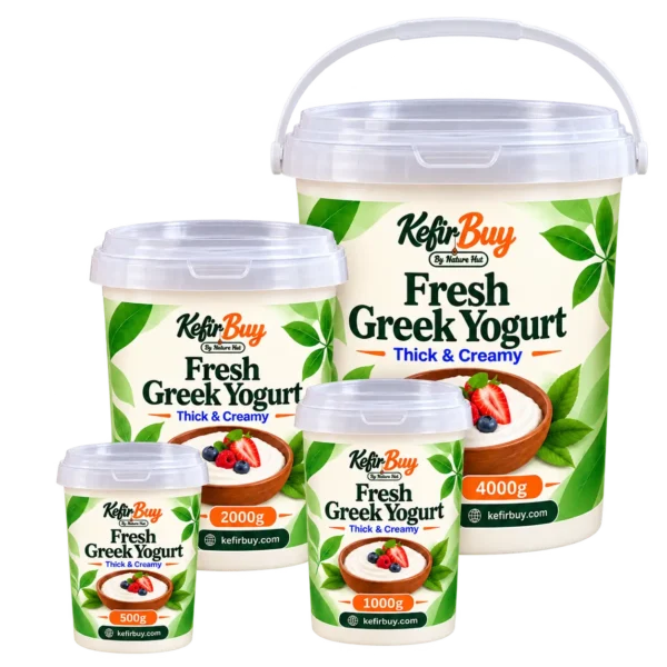 Fresh Greek Yogurt – Thick Probiotic Kefir Yogurt